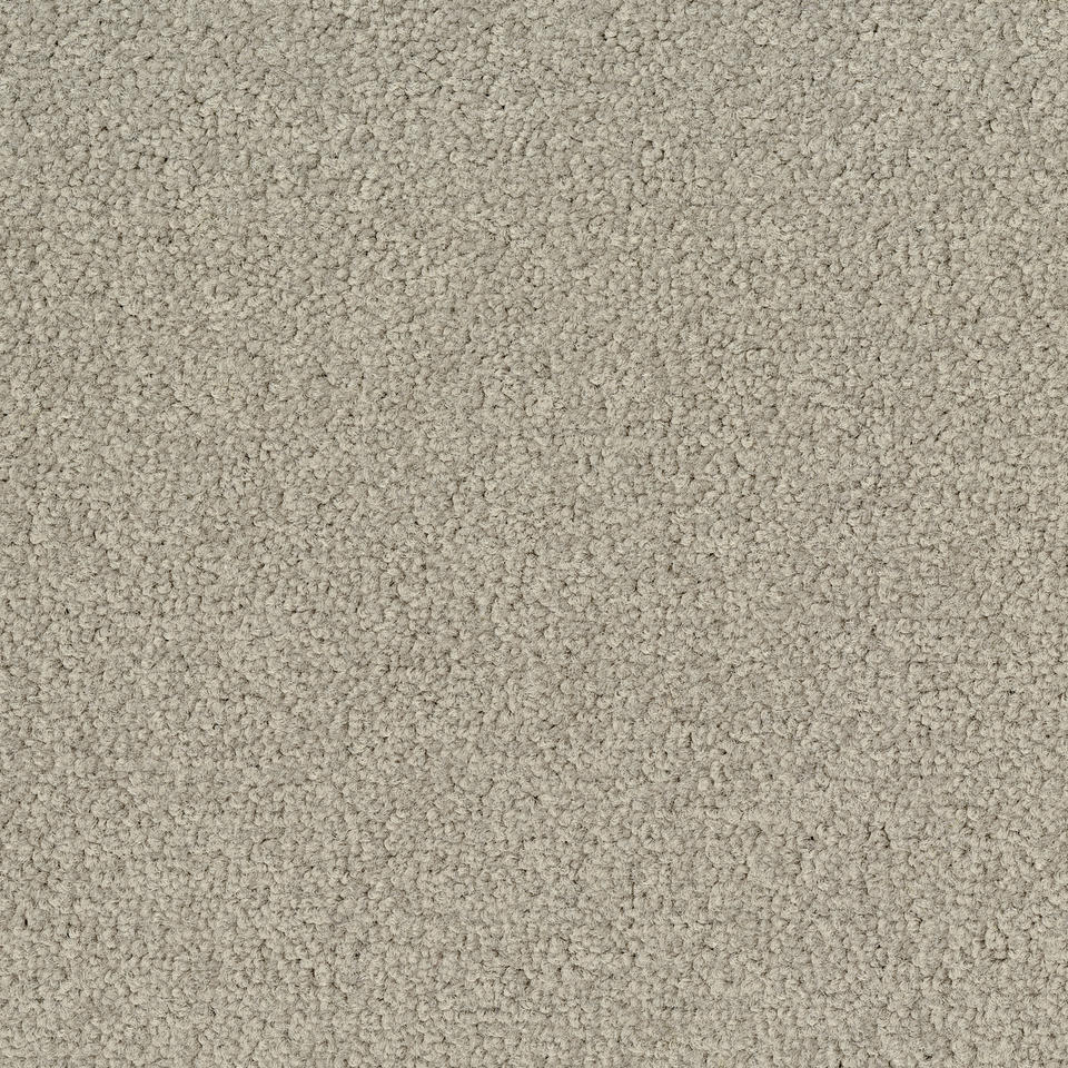 Desso Palatino B359-1321 - 5 m2 Box / 20 Tiles - Commercial Contract Carpet tiles 500 mm x 500 mm