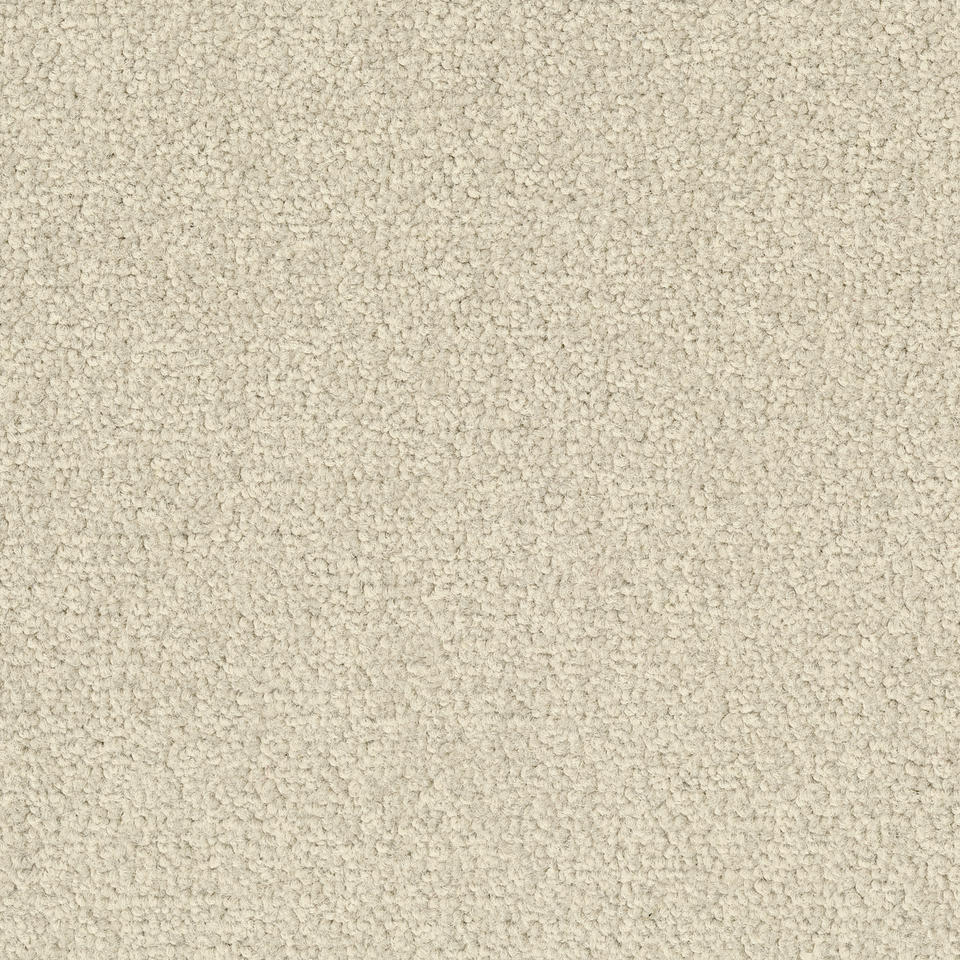 Desso Palatino B359-2928 - 5 m2 Box / 20 Tiles - Commercial Contract Carpet tiles 500 mm x 500 mm