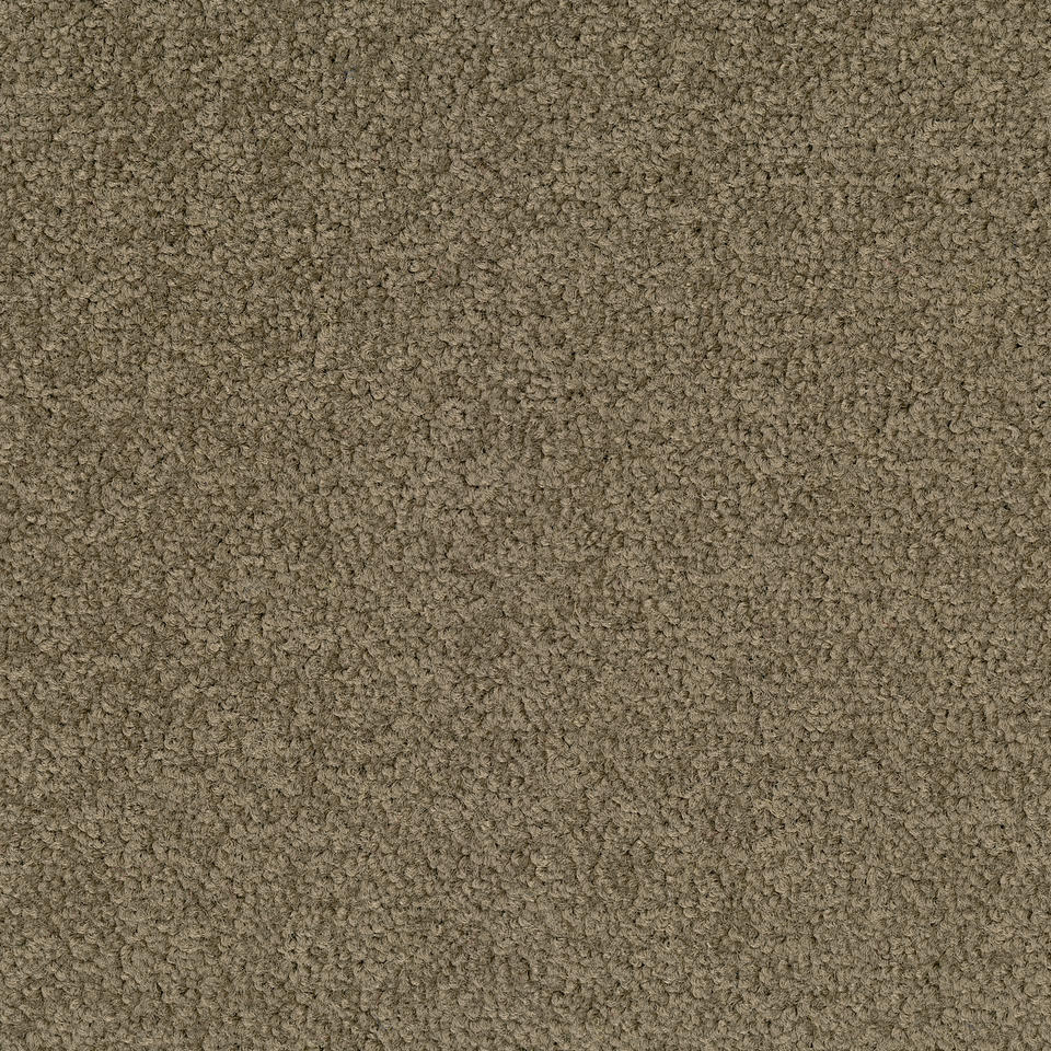 Desso Palatino A072-2929 - 5 m2 Box / 20 Tiles - Commercial Contract Carpet tiles 500 mm x 500 mm