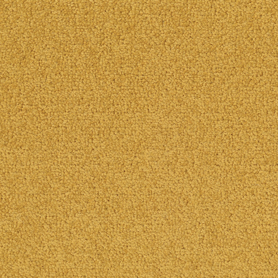 Desso Palatino A072-6016 - 5 m2 Box / 20 Tiles - Commercial Contract Carpet tiles 500 mm x 500 mm